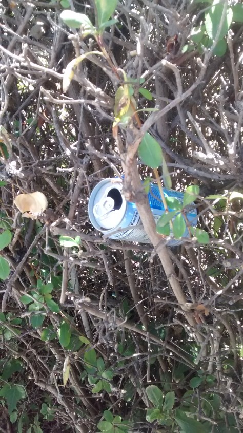 IMG_20160621_143133978