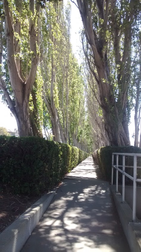 IMG_20160621_143341210