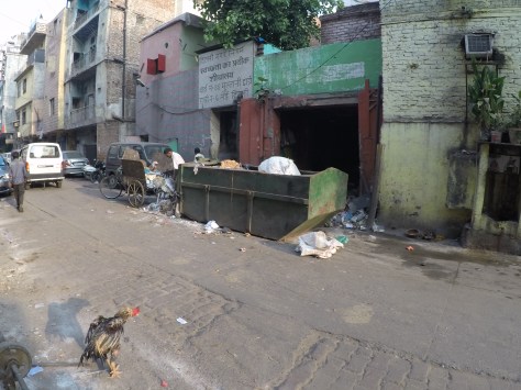 DCIM100GOPROGOPR0031.