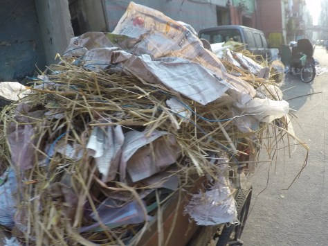 DCIM100GOPROGOPR0037.