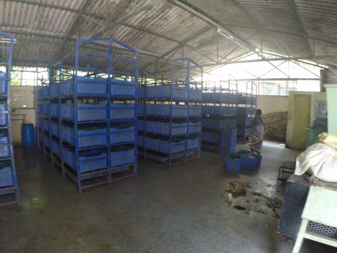 DCIM100GOPROGOPR0366.